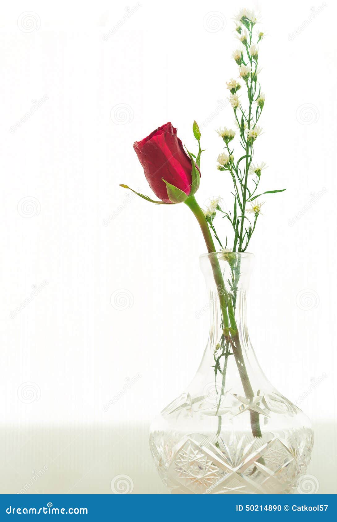 Red Rose in glass stock photo. Image of beautiful, floral 50214890