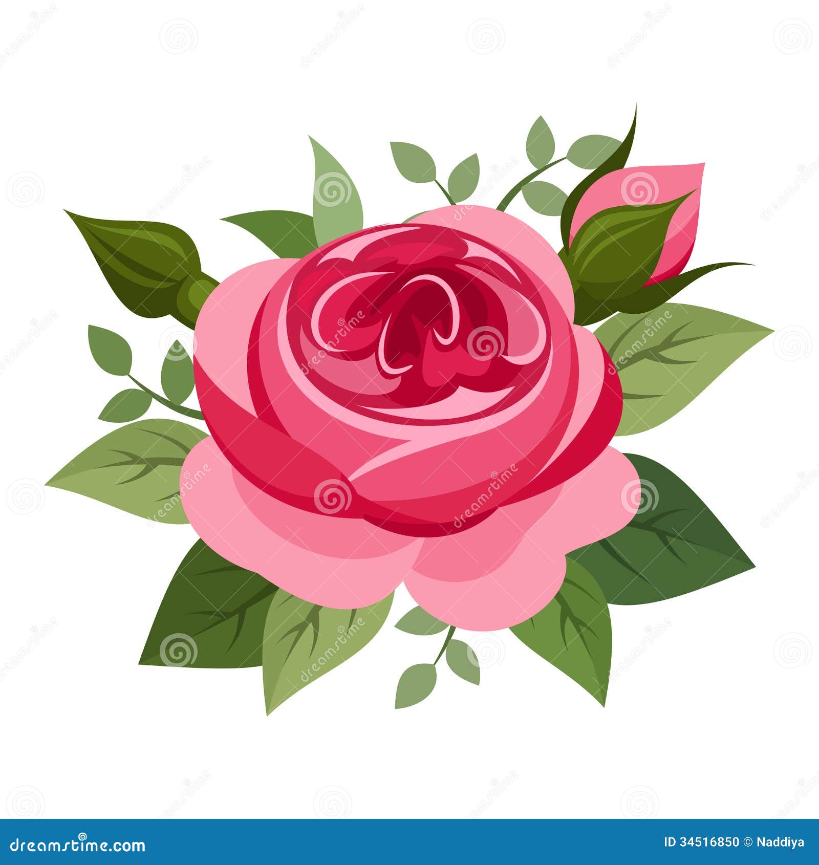 clipart english rose - photo #4