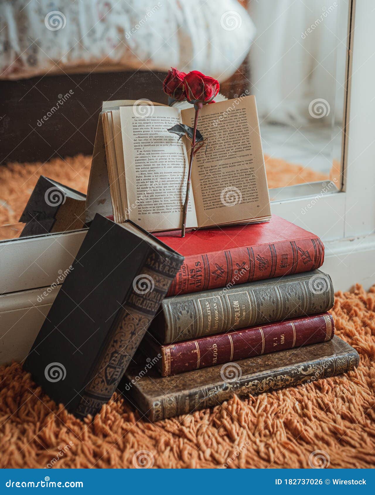 Red Rose Inside an Open Book on Top of a Pile of Books Stock Photo ...