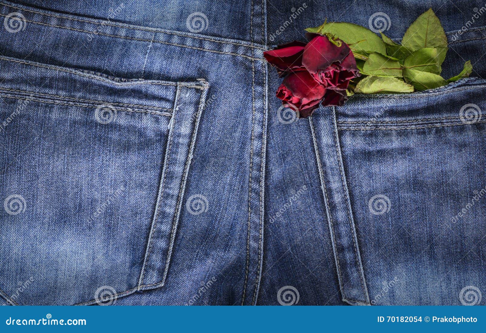 Red rose in jeans pocket stock photo. Image of happy 70182054