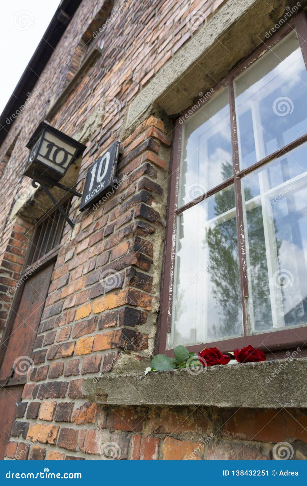 red rose left on the window of the 10th block building from auschwitz