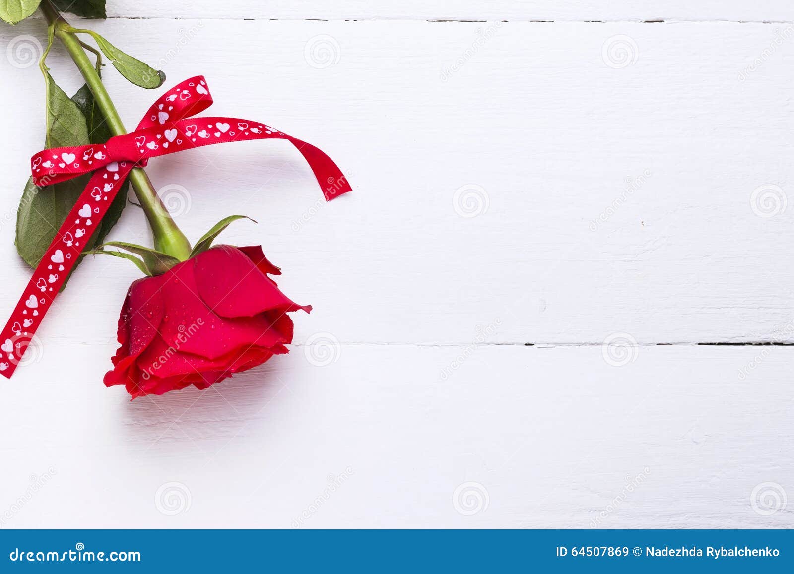 Red Rose of Love on a White Wooden Background. Stock Image - Image of ...