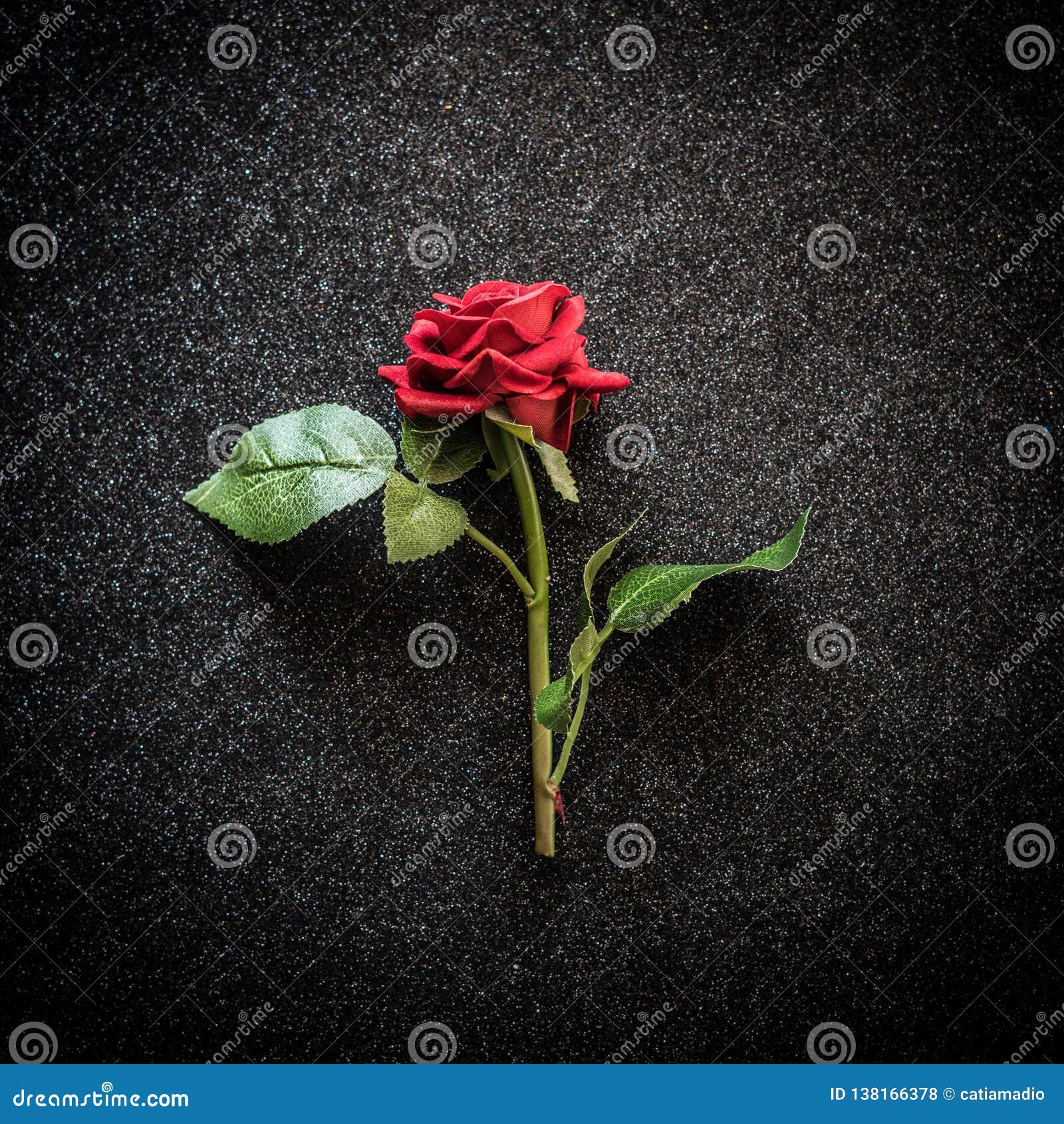 Red Rose Over Black Sparkling Background Stock Photo - Image of rose, love:  138166378