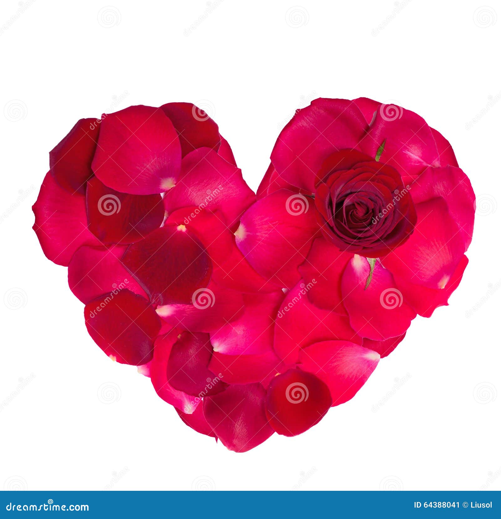 Red Rose Petal Heart Valentine S Stock Image - Image of sensuality ...