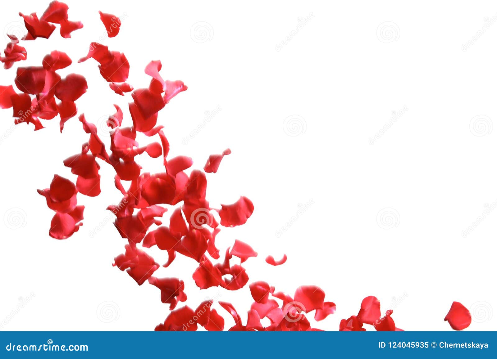 Red Rose Petals Falling Stock Image Image Of Beautiful