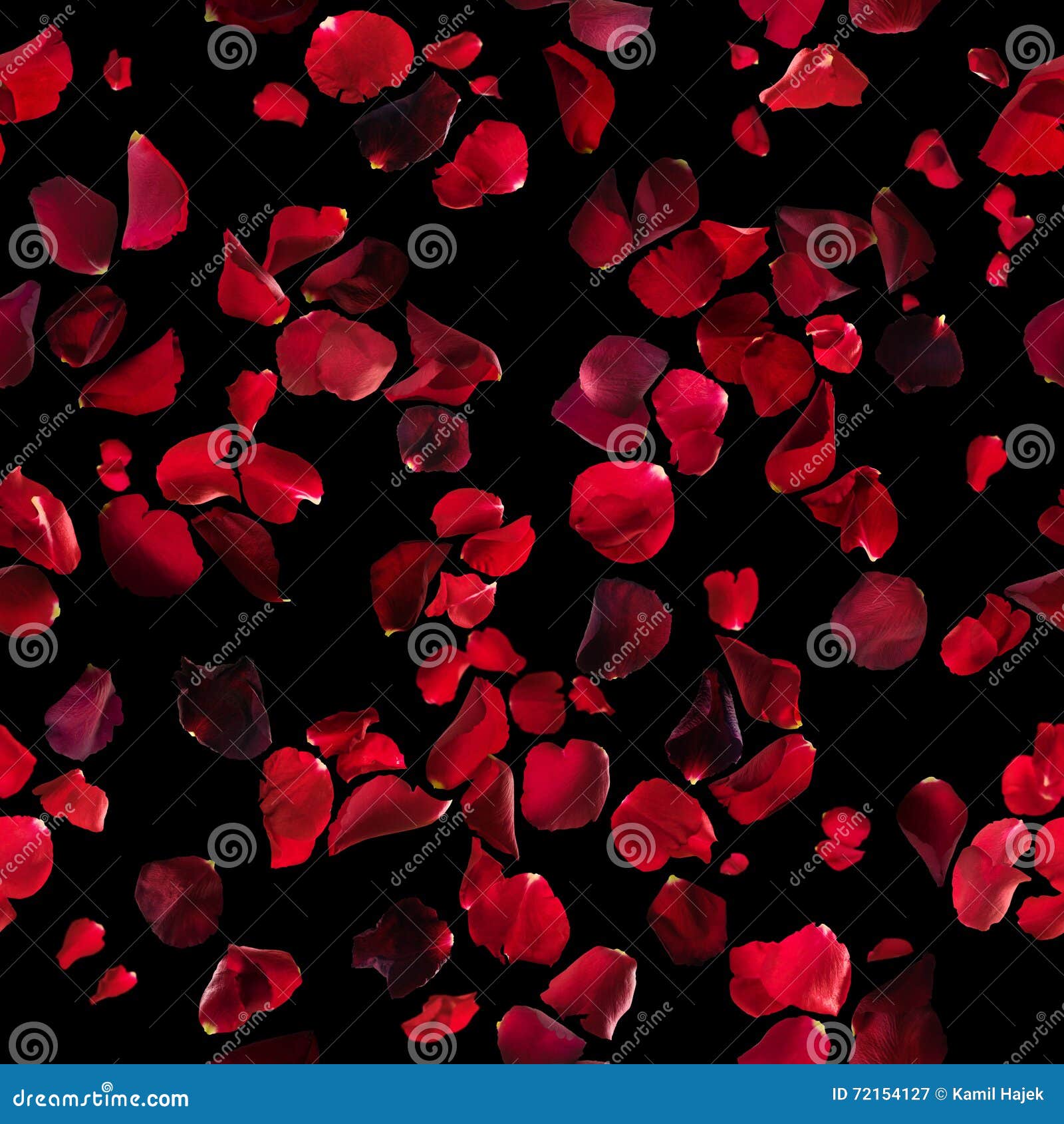 Red Rose Petals Texture on Black Stock Image - Image of background, floral:  72154127