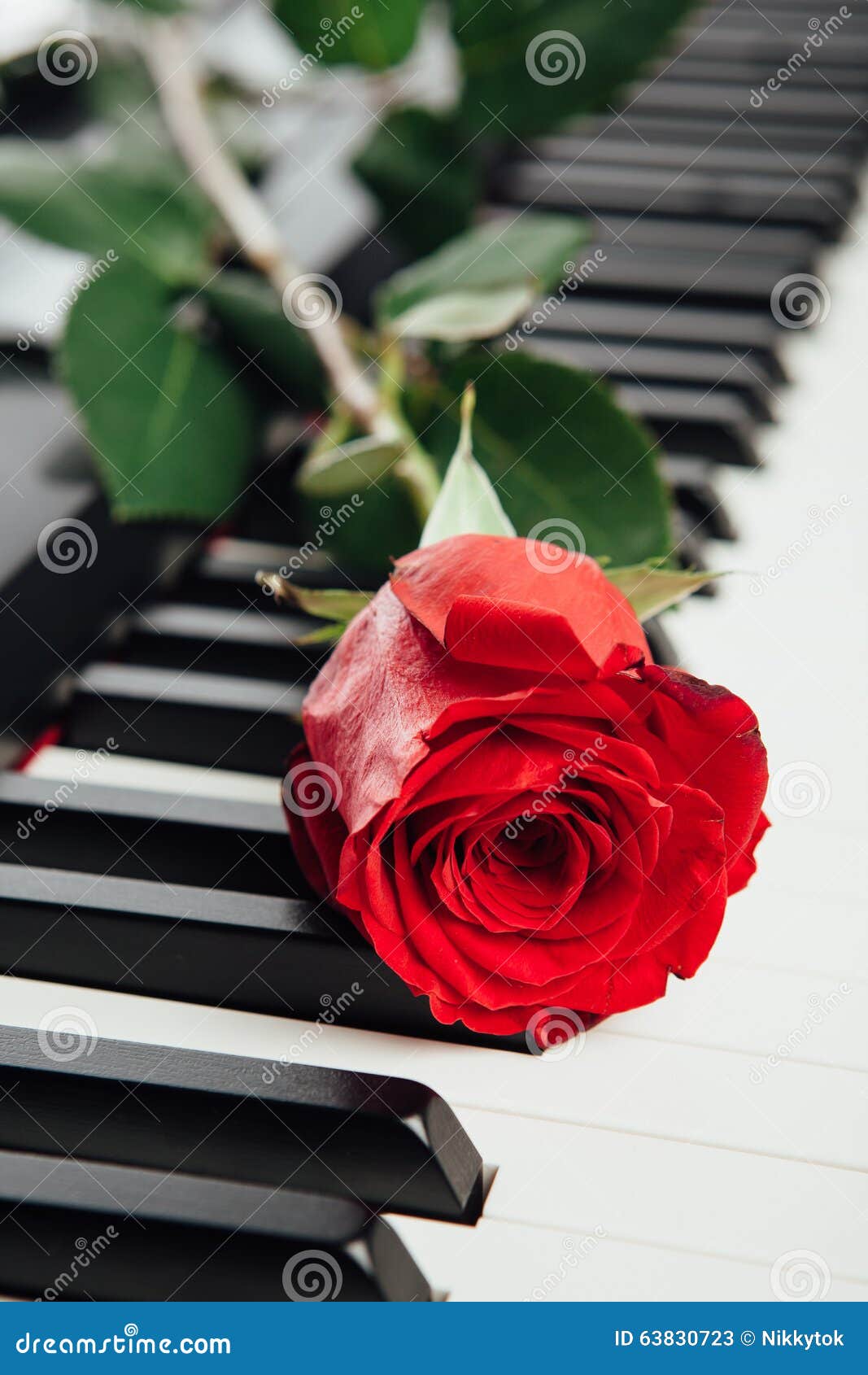 royalty free soft piano music royalty free soft piano music