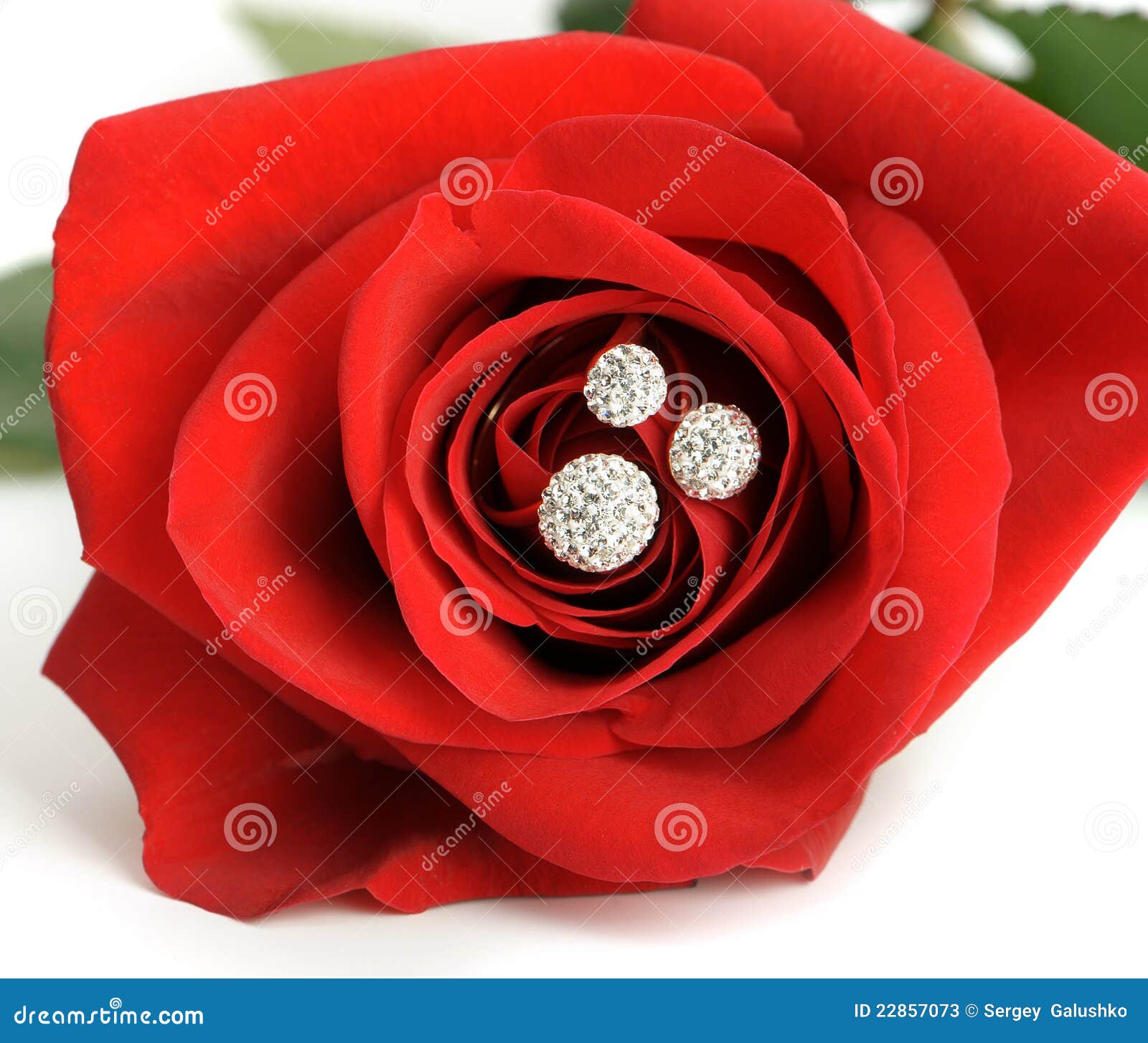 Red Rose with a Ring with Jewels Closeup Stock Image Image of jewel