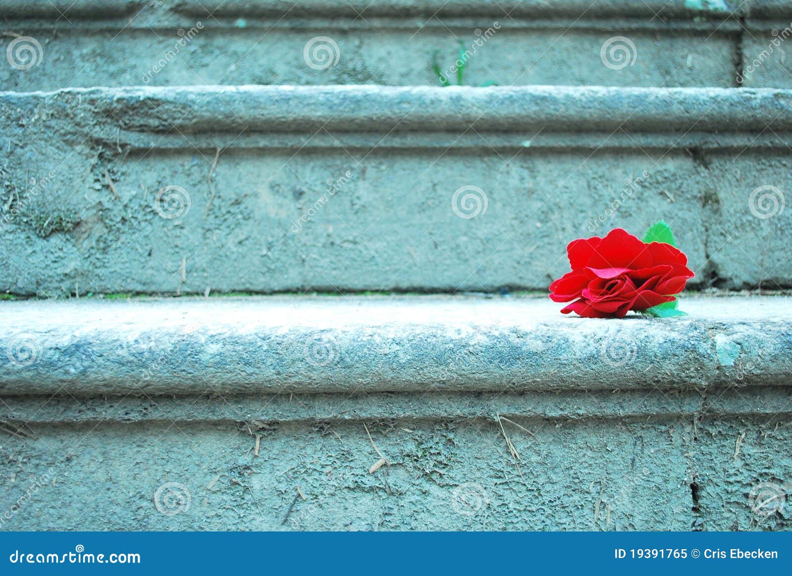 Red rose stairs stock image. Image of waiting, stairs 19391765