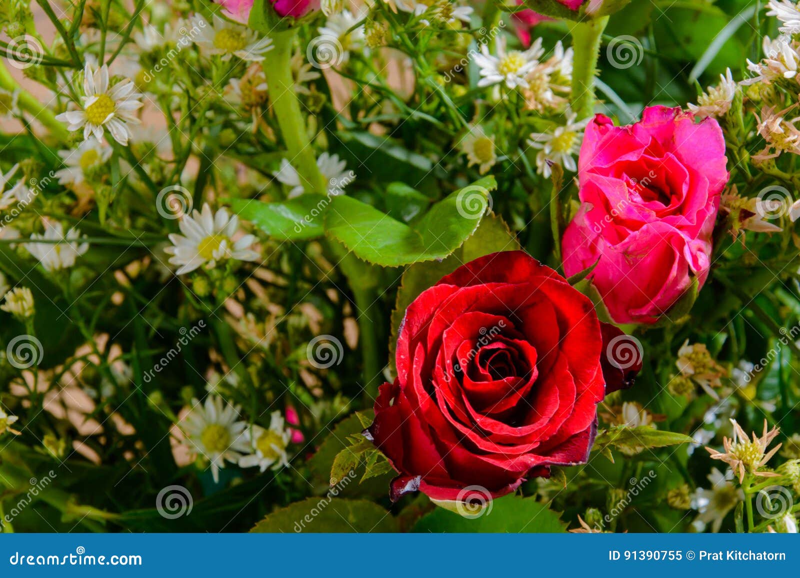 red rose vase
