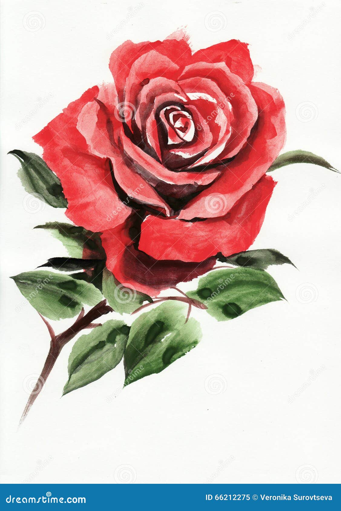 Red Rose Watercolor Painting Stock Illustration - Illustration of ...