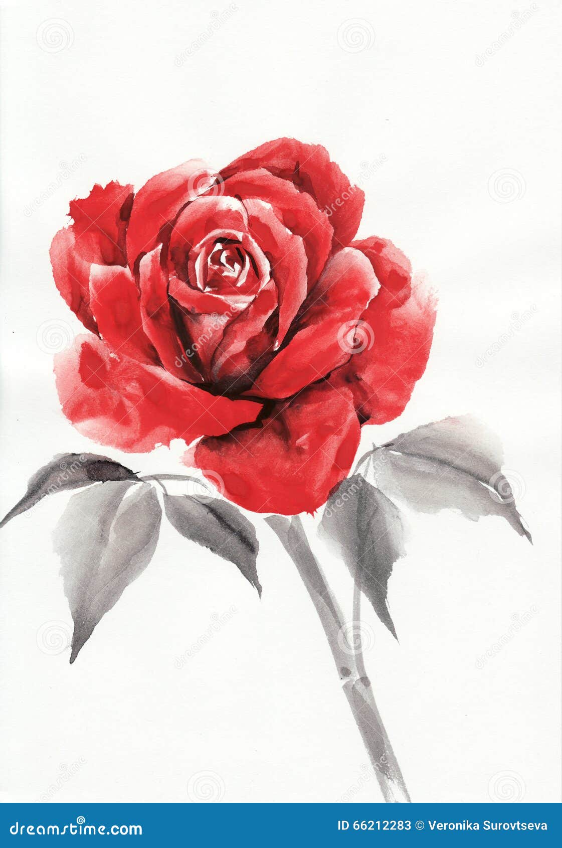 Red Rose Watercolor Painting Stock Illustration - Illustration of high ...