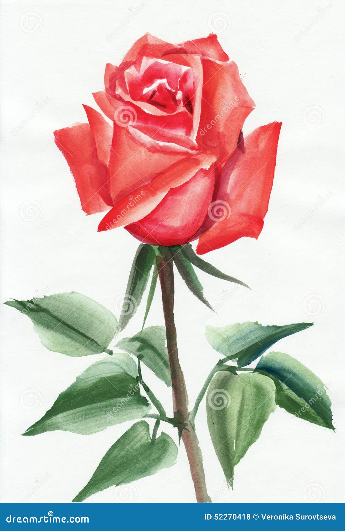 Red Rose Watercolor Painting Stock Illustration - Illustration of stem ...