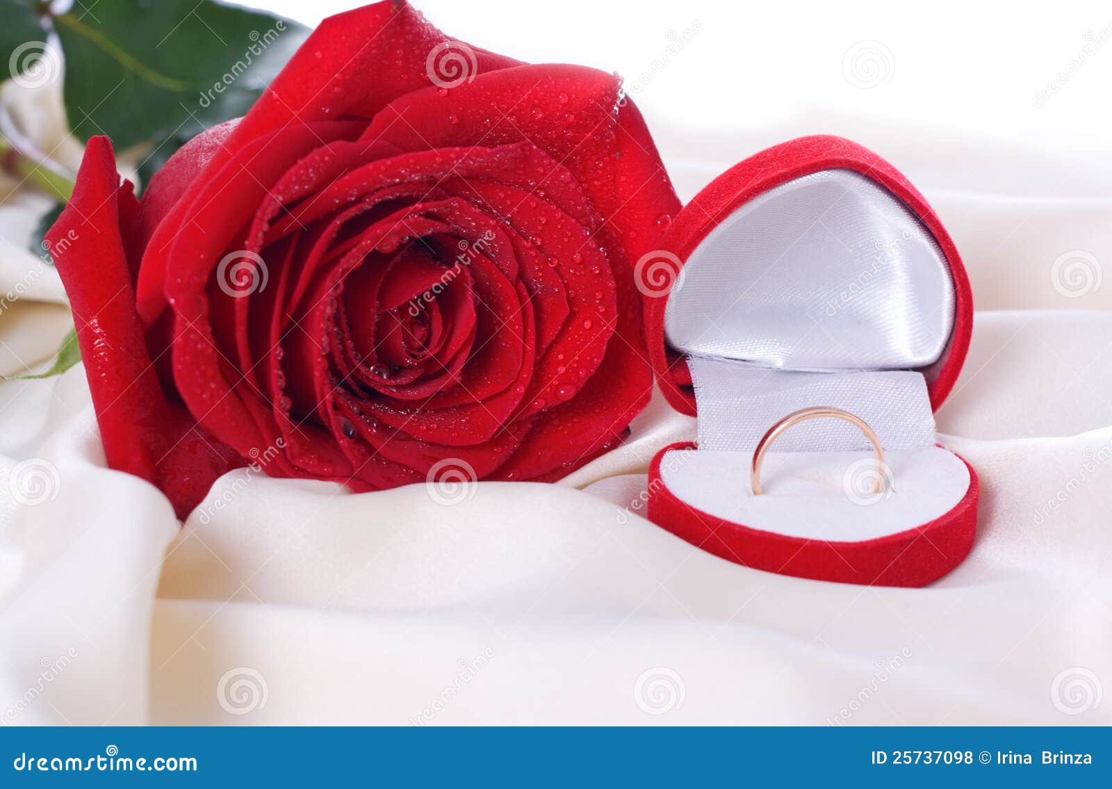 Red Rose and a Wedding Ring Stock Photo - Image of girl, engagement ...