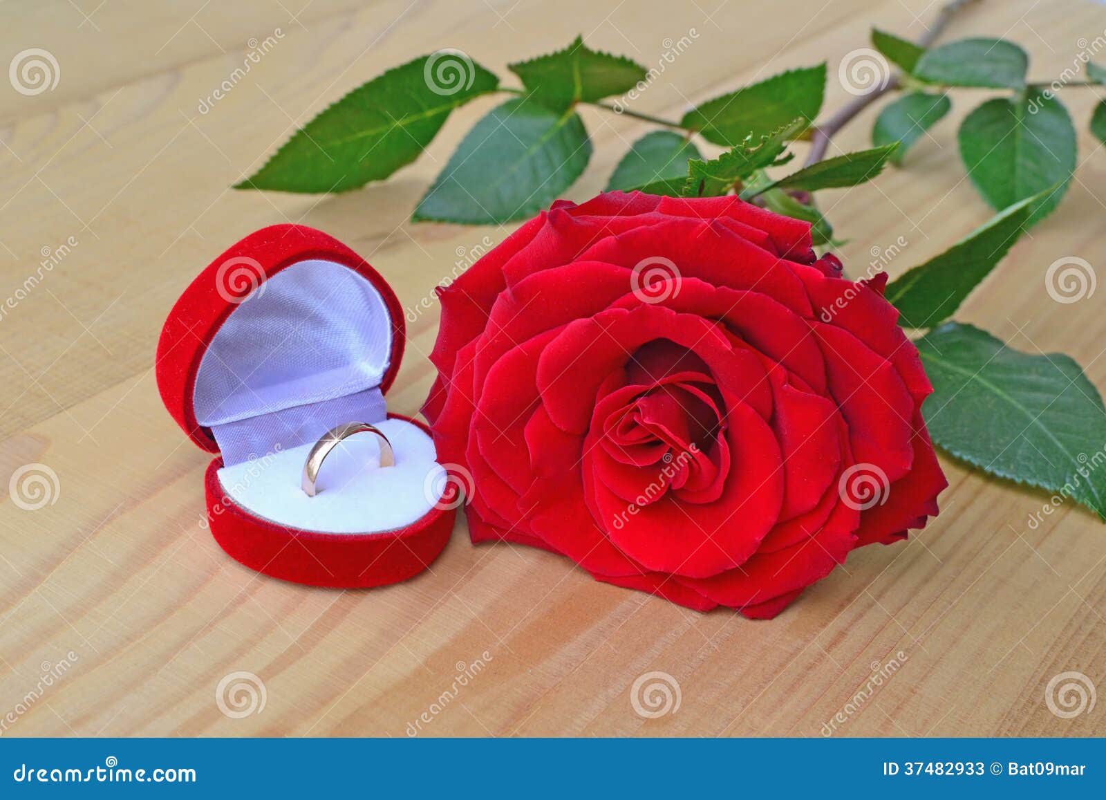 Red rose with wedding ring stock image. Image of passion - 37482933