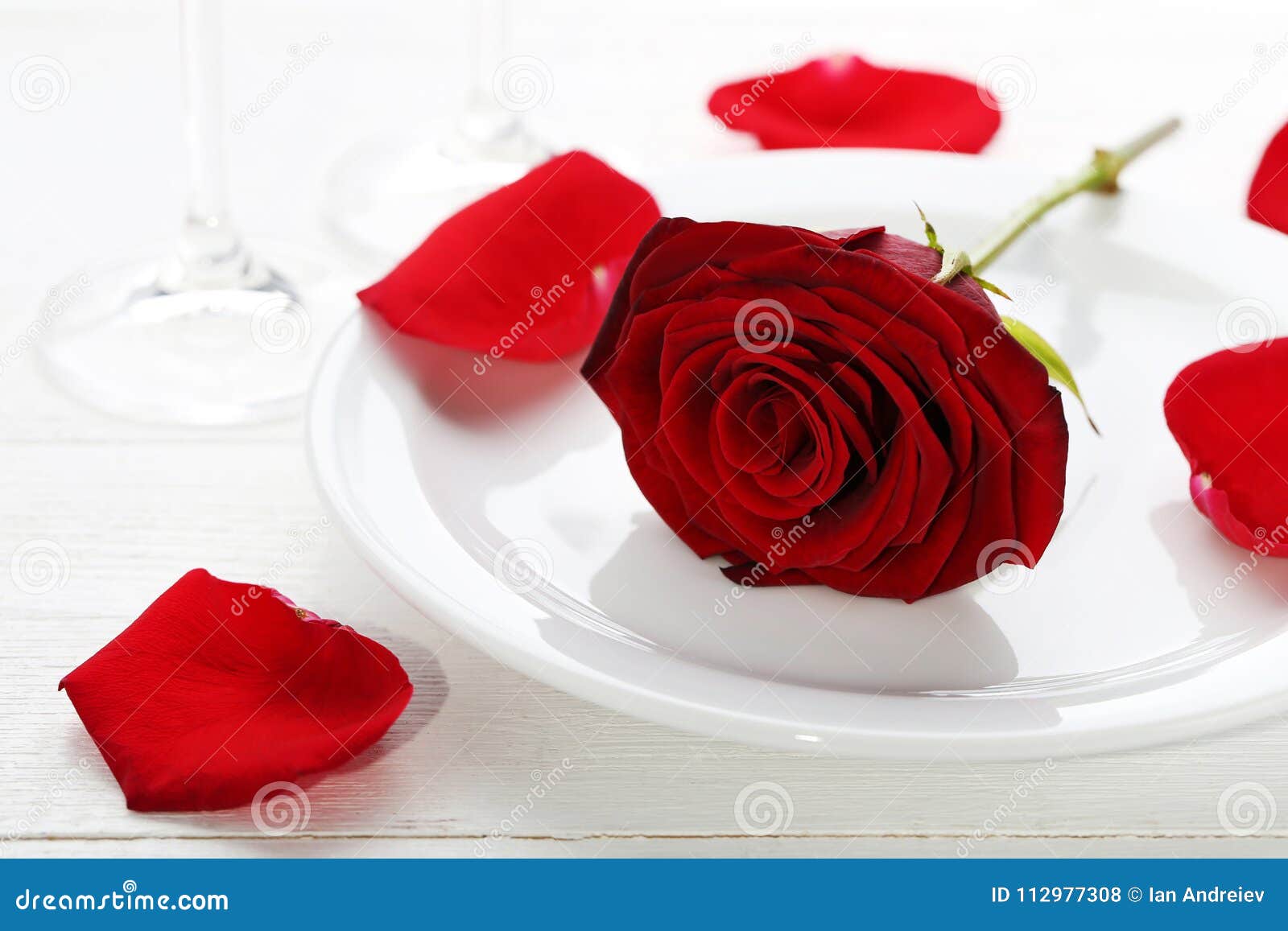 Red rose in white plate stock photo. Image of fresh 112977308
