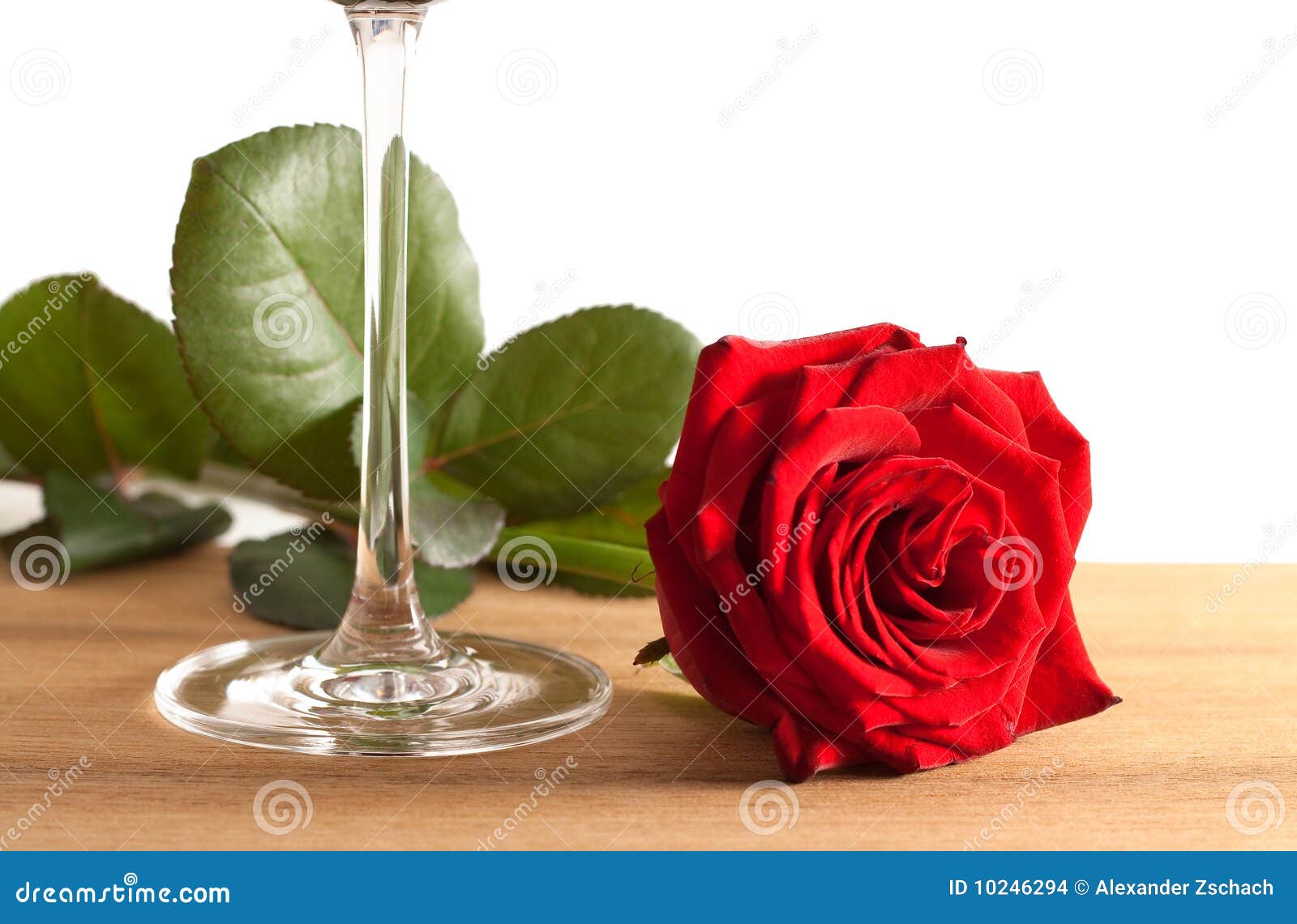 Red rose and wine glass stock photo. Image of rose, couple 10246294