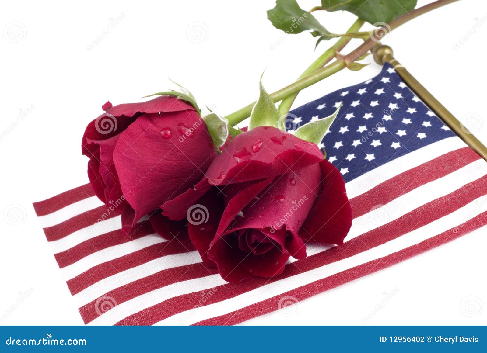 Red Roses on American Flag stock photo. Image of symbolic 12956402