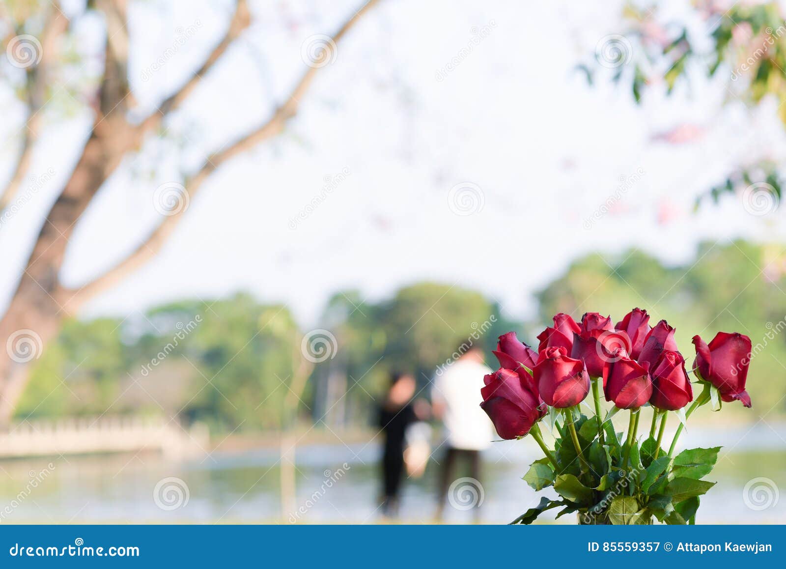 Red Roses Background with Couples. Stock Image Image of couples