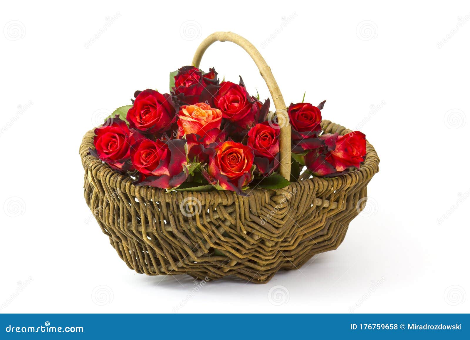 Red Roses in a Basket on White Stock Photo Image of bunch, copy