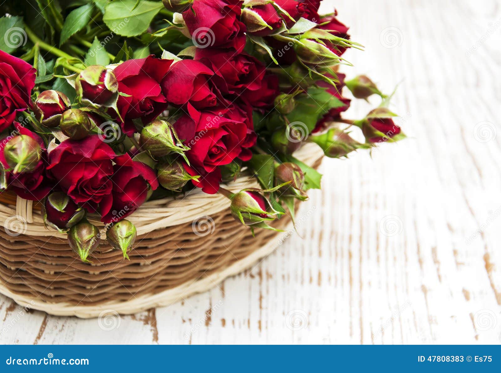 Red roses in basket stock image. Image of basket, love 47808383