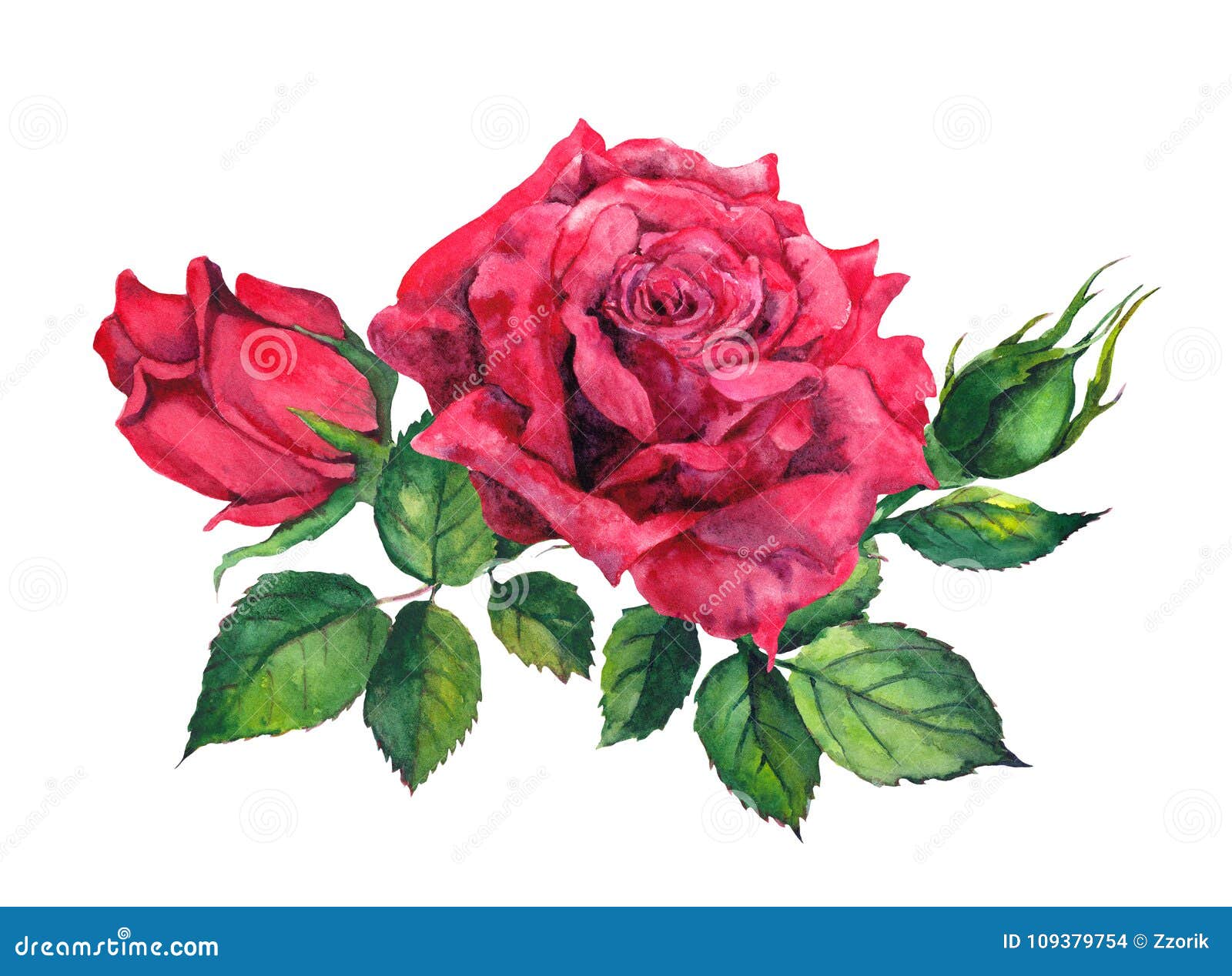 Red Roses Bouquet. Isolated Watercolor Illustration Stock Illustration ...