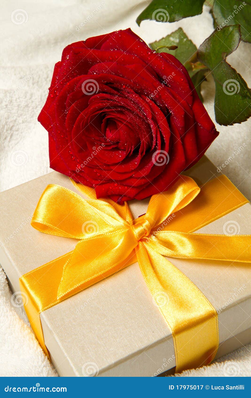 Red roses and gift box stock image. Image of fresh, lovely 17975017