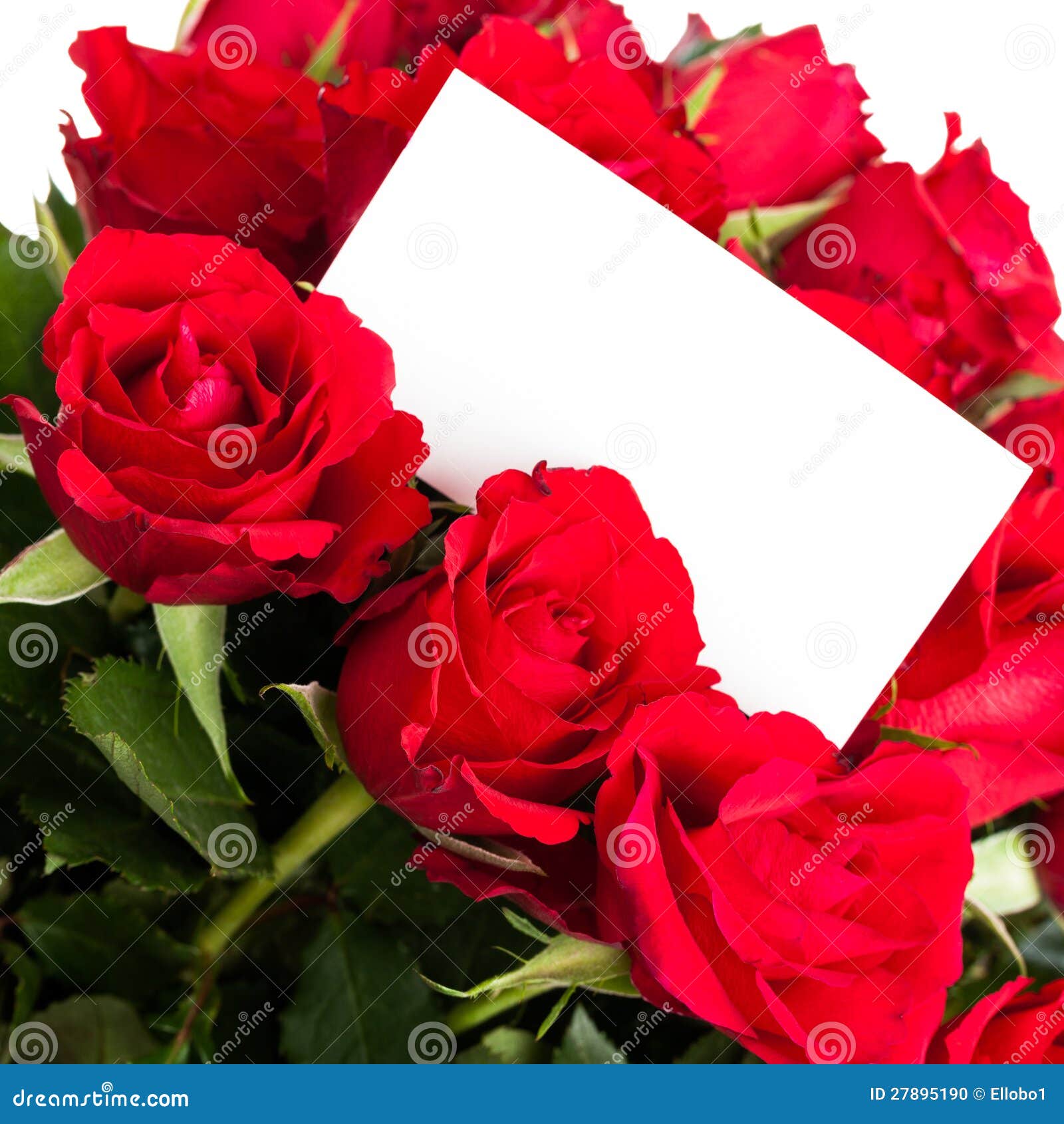 Red roses with gift tag. stock photo. Image of botanical 27895190