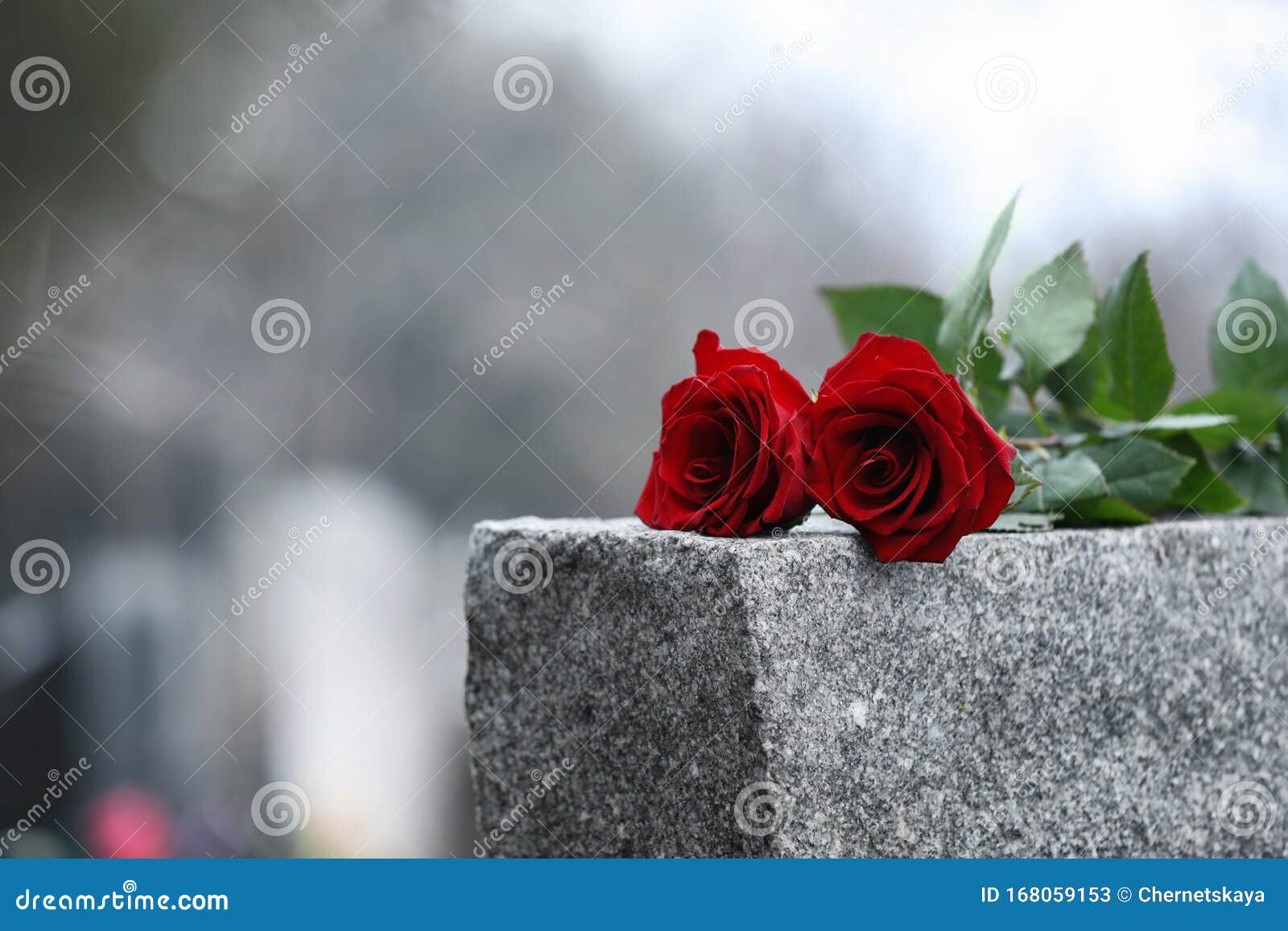 red roses on grey granite tombstone. funeral ceremony