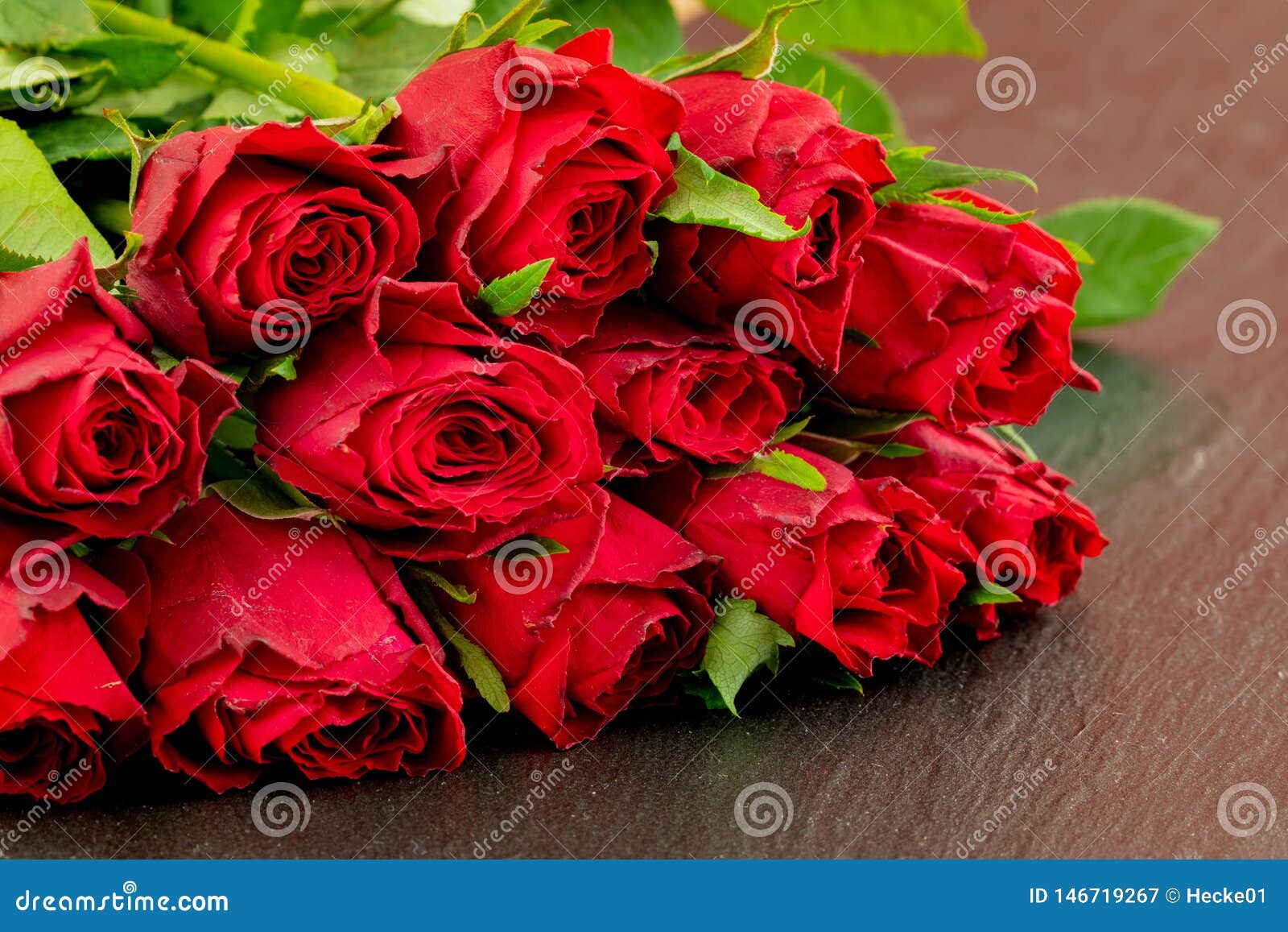 Red roses for love stock image. Image of card, rosales 146719267