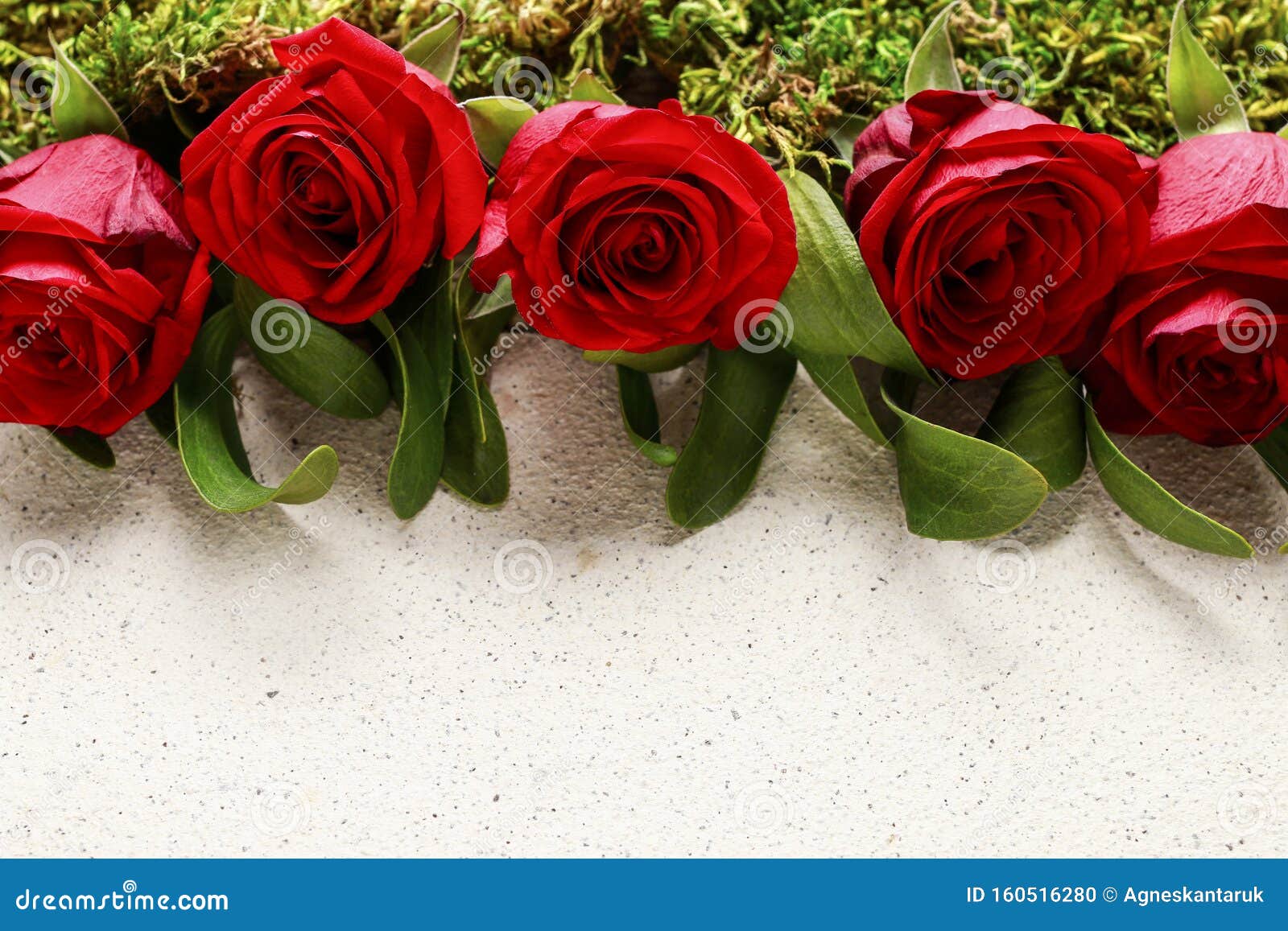 Red Roses, Mistletoe, Moss and Blank Sheet of Paper Stock Photo Image