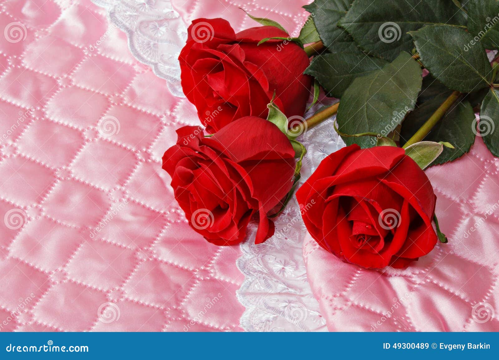 Red roses on pink satin. stock image. Image of abstract 49300489