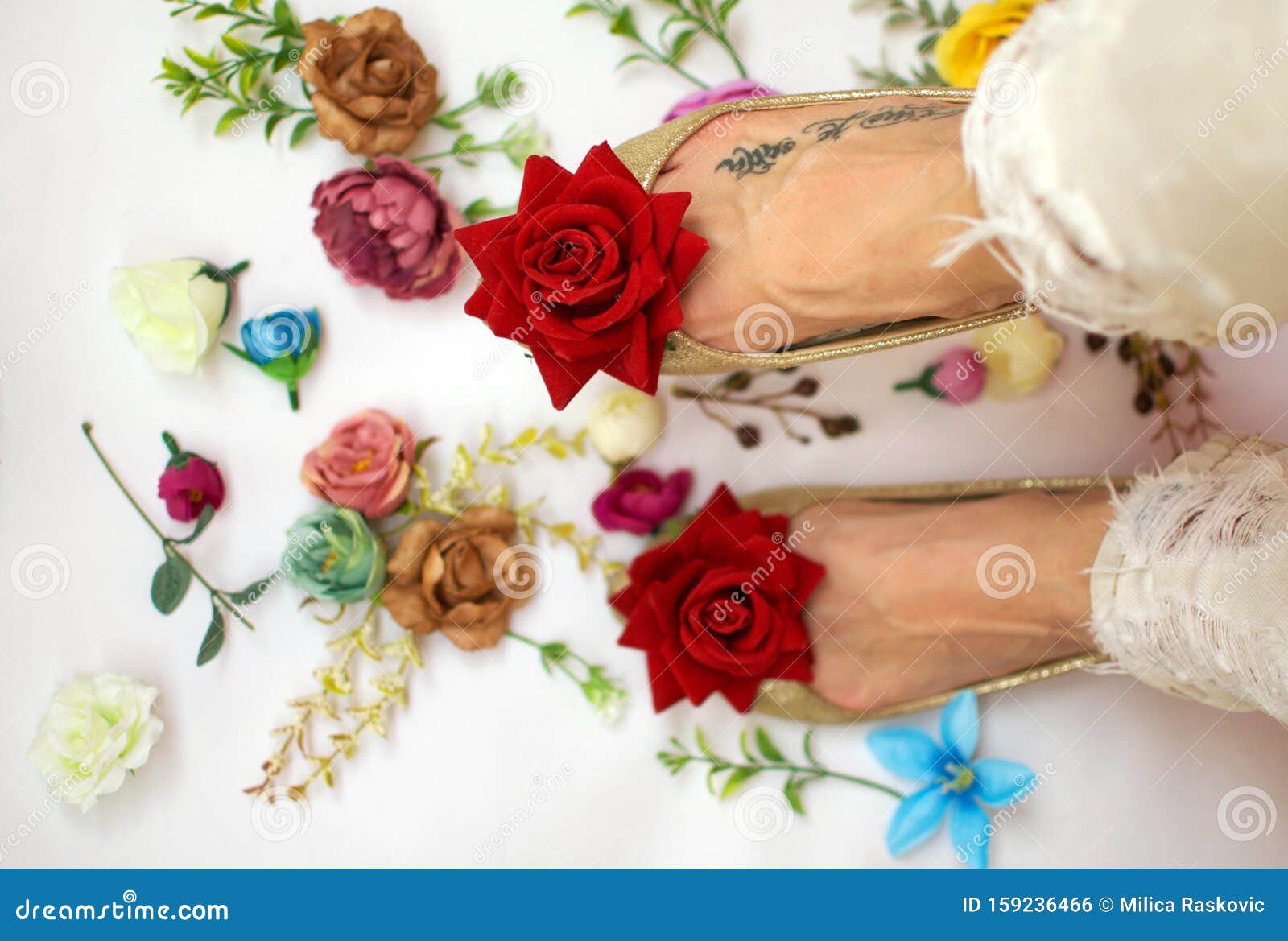 Red Roses on the Top of the Shoes Stock Photo - Image of shoe, rose ...