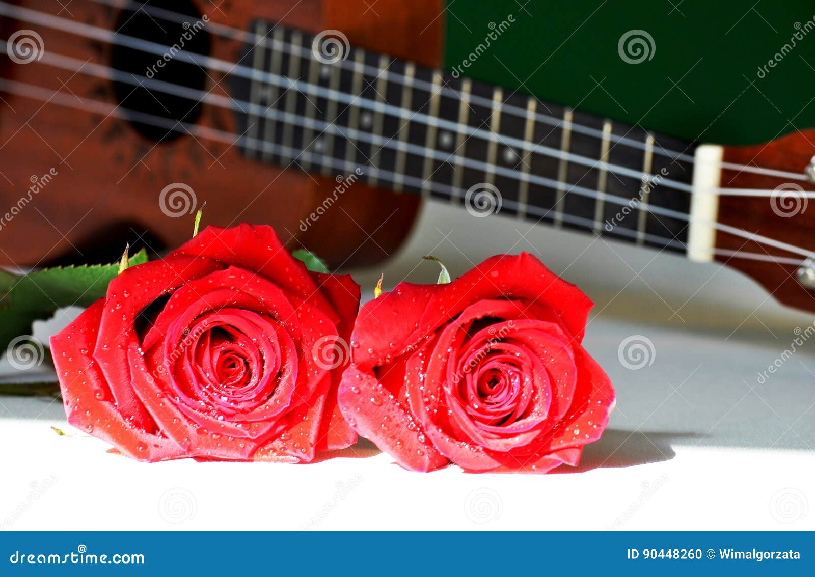 Red roses and ukulele. stock photo. Image of dewy, drops 90448260