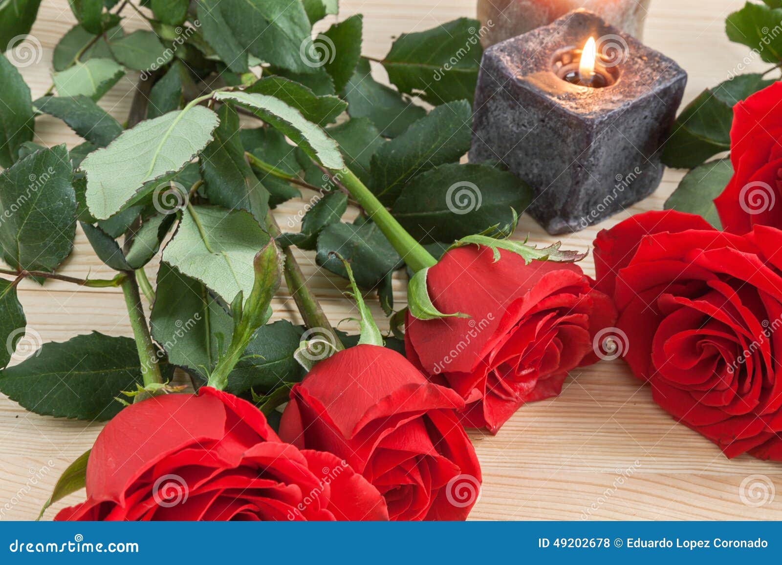 Red Roses for Valentine S Day Stock Photo - Image of fresh, white: 49202678