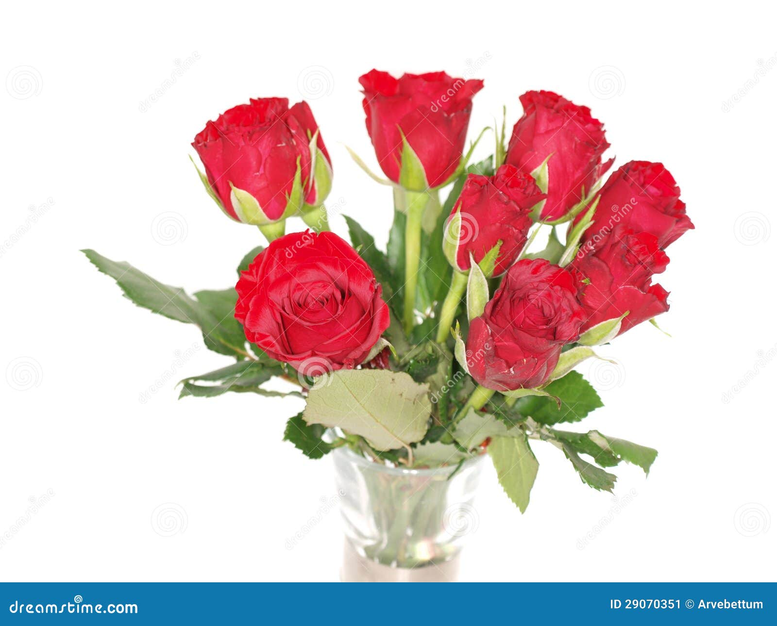 Red roses in vase stock image. Image of blossoming, isolated - 29070351