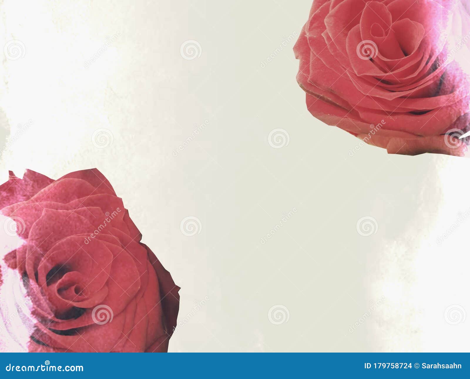 Red roses in vintage style stock photo. Image of classic - 179758724