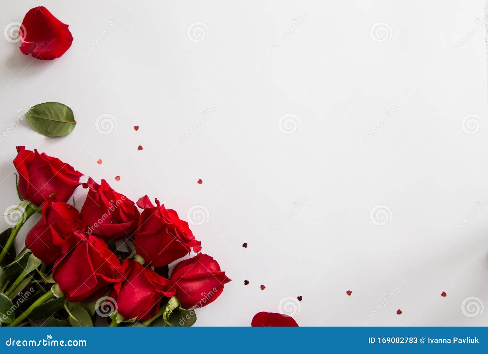 Red Roses on White Background. Valentines Day Background, Wedding Day Stock  Image - Image of background, holiday: 169002783
