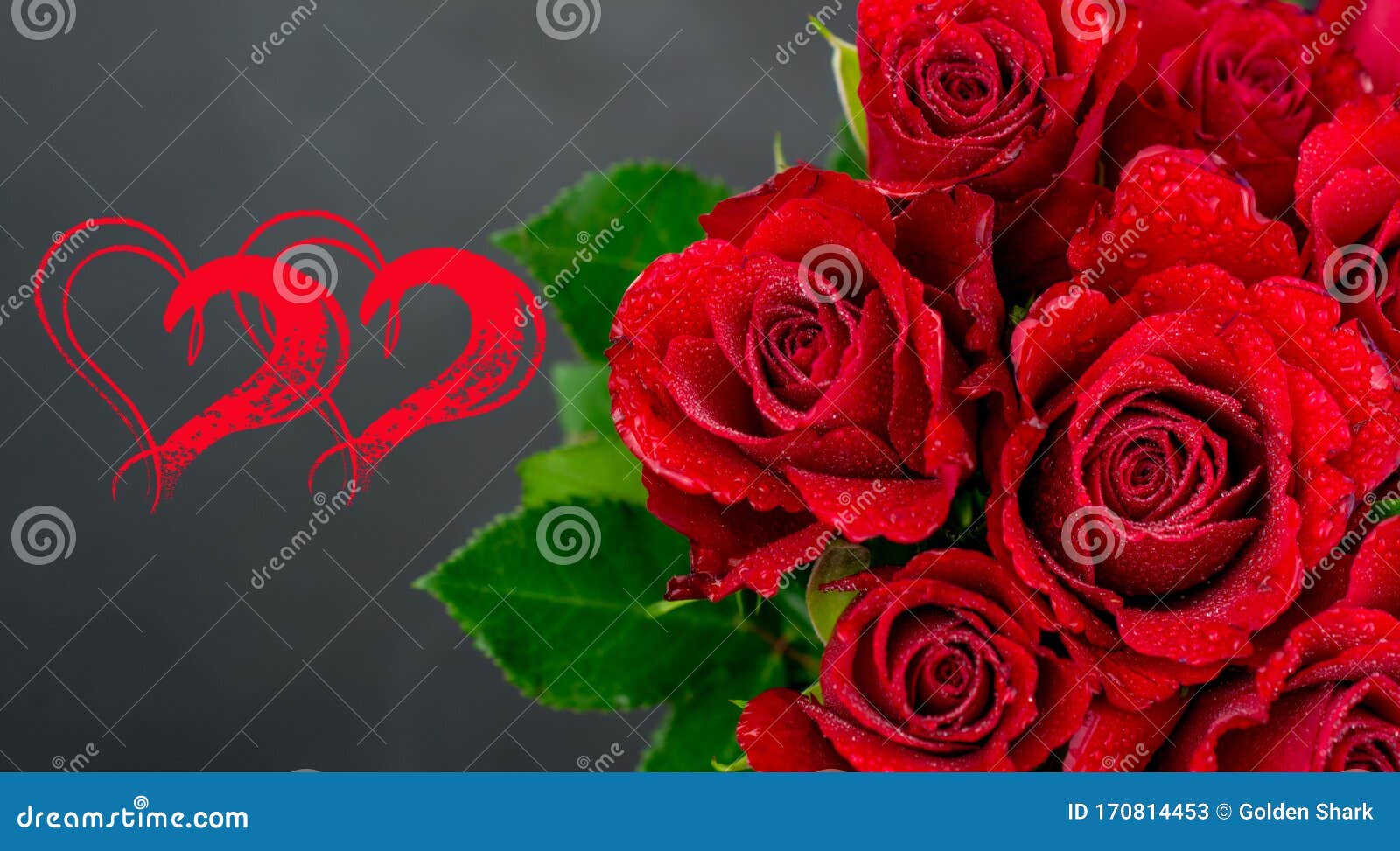 red roses on white background for valentines day