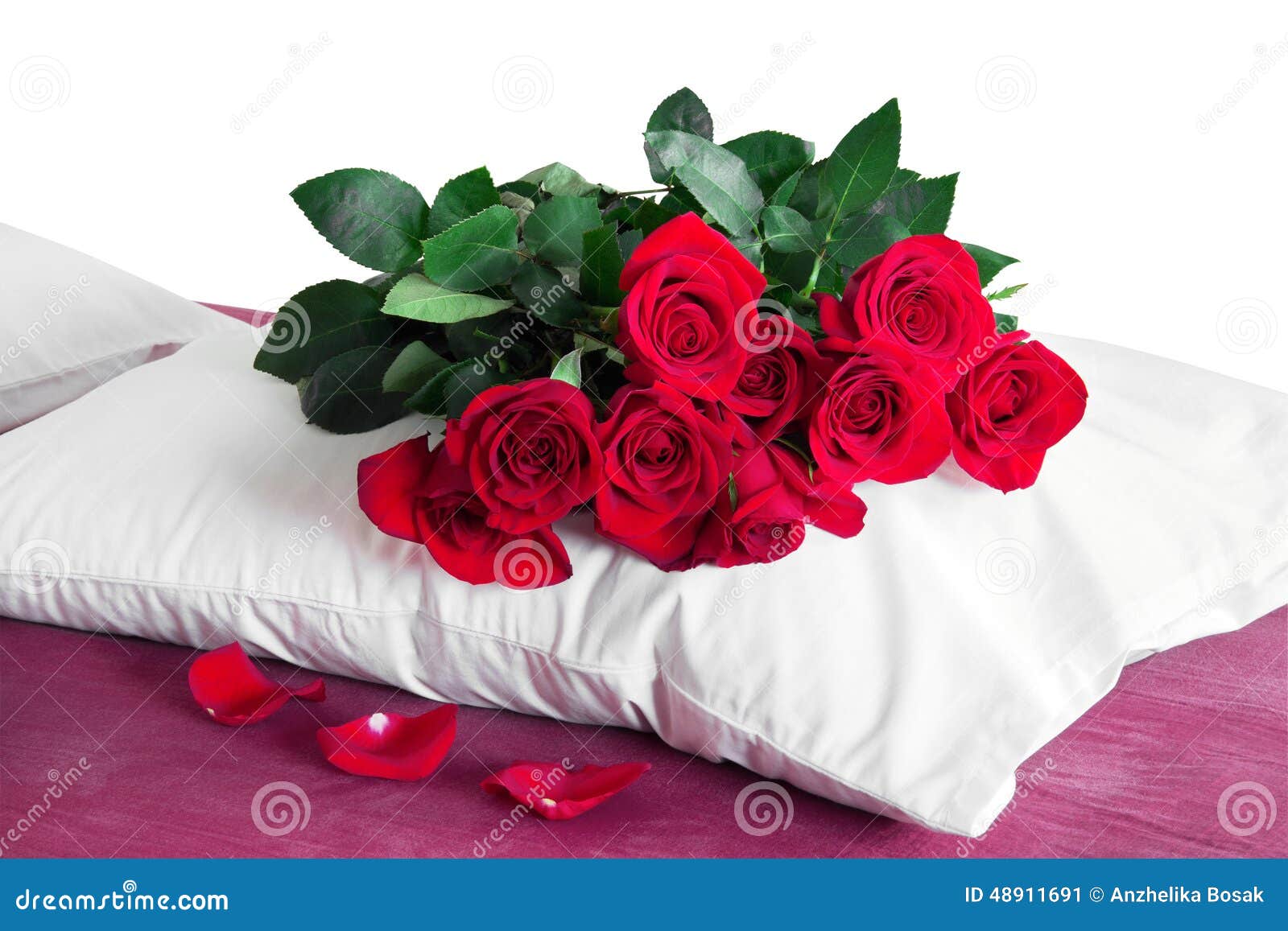 Red Roses on a White Pillow Stock Image Image of elegance, birthday
