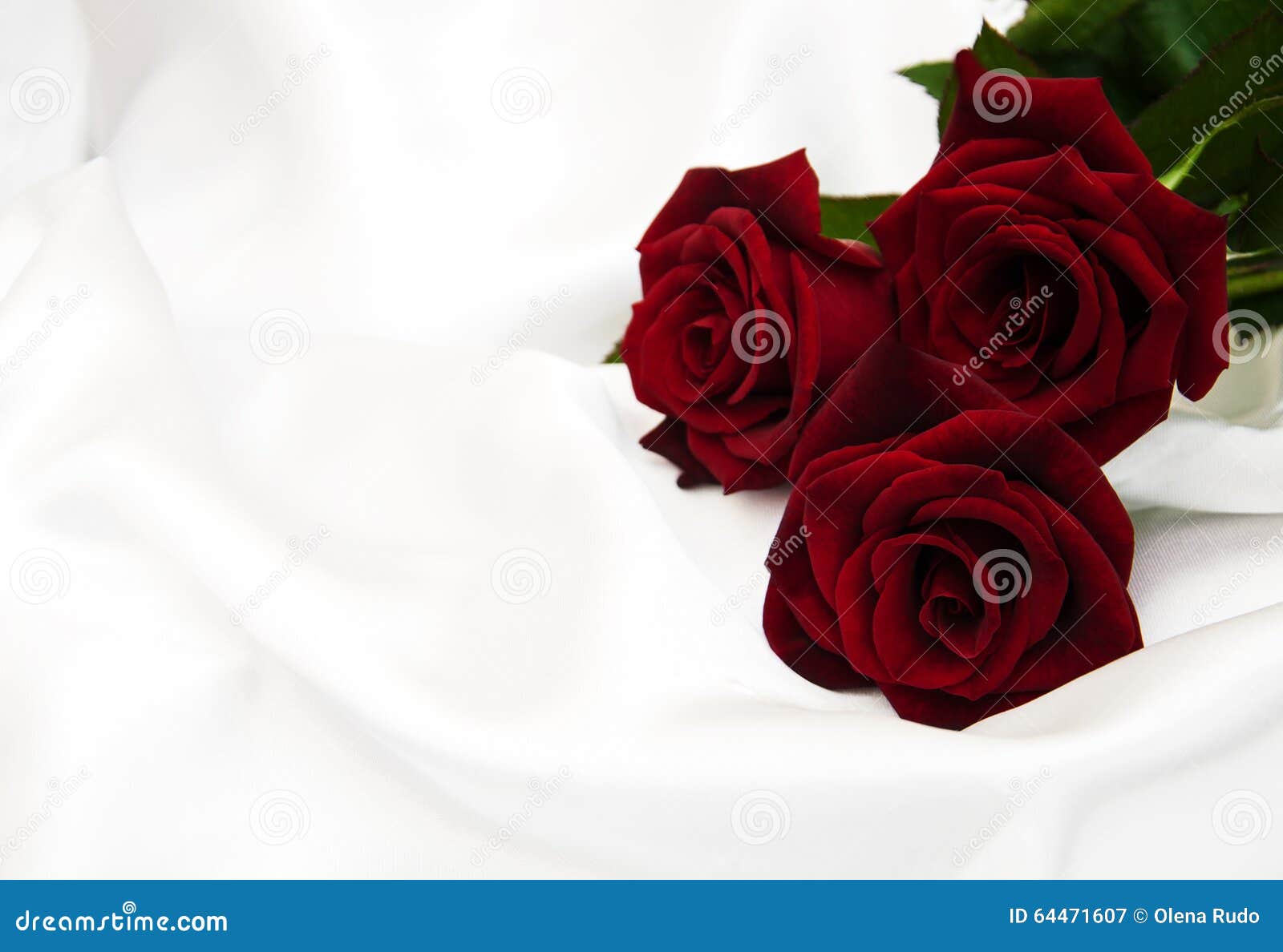 Red roses stock image. Image of beautiful, nature, greeting - 64471607
