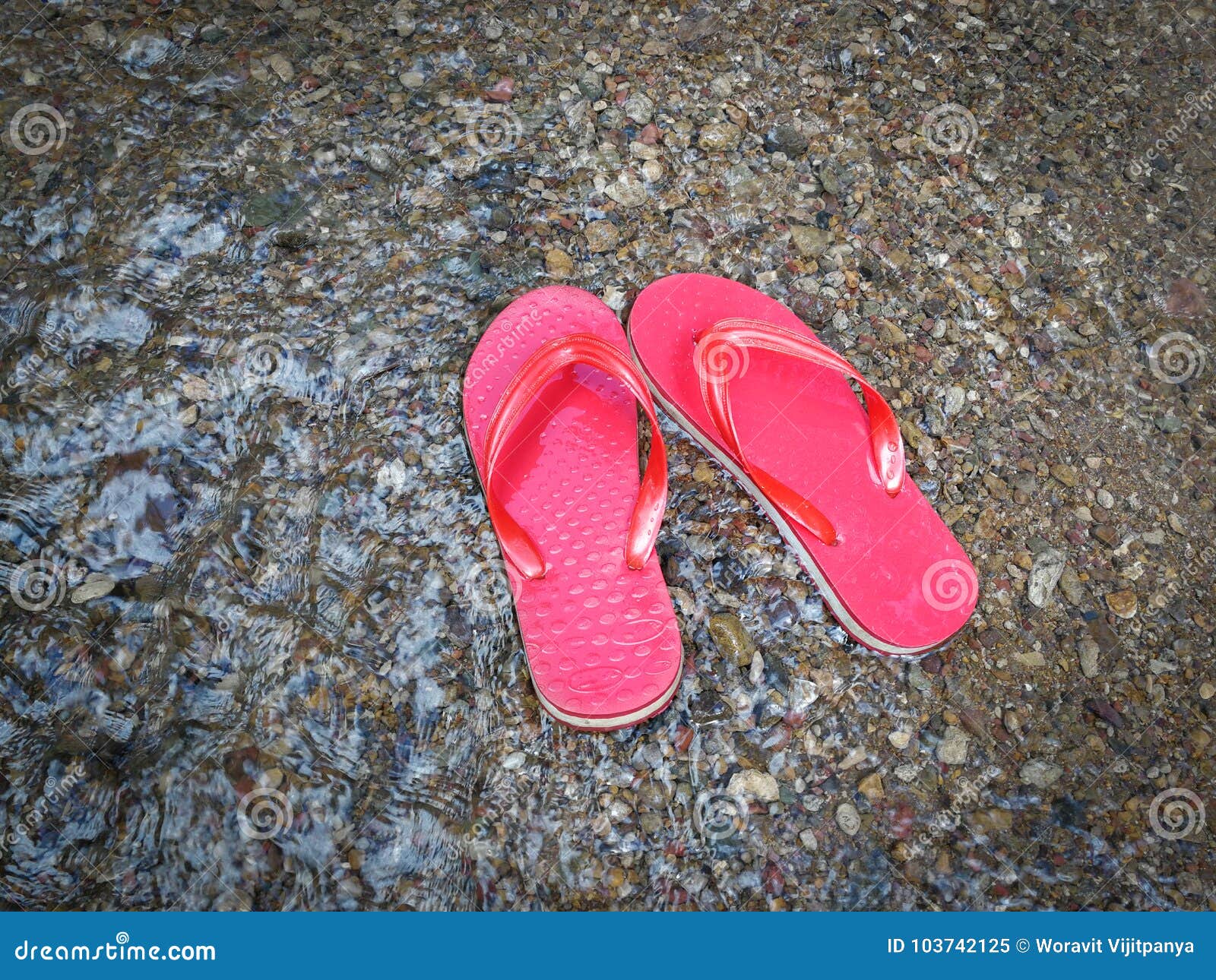 Red sandal stock image. Image of fashion, informal, leisure - 103742125
