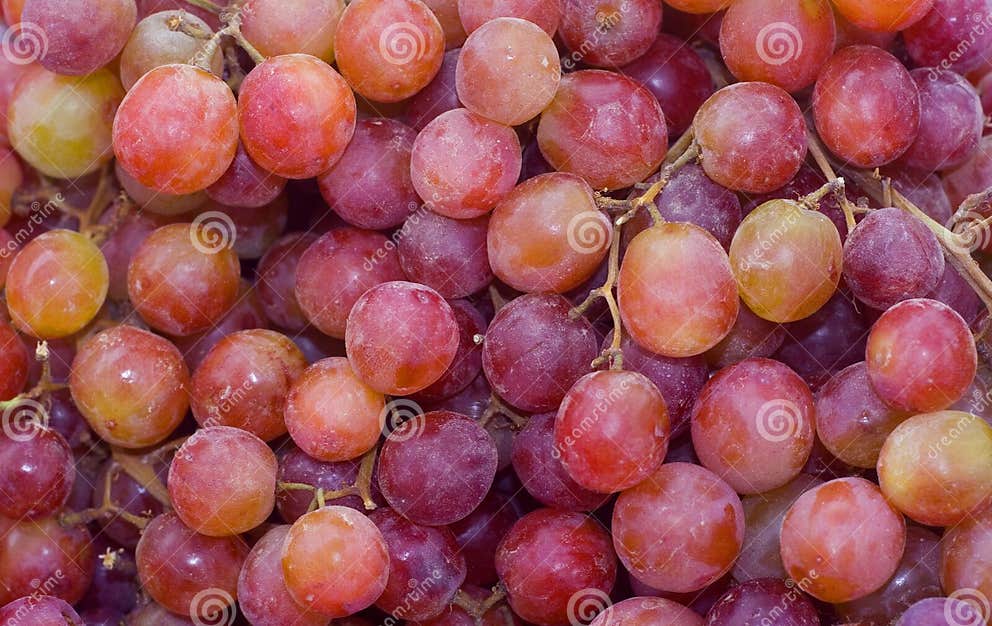 Red Seedless Grapes stock image. Image of organic, dessert 12923907
