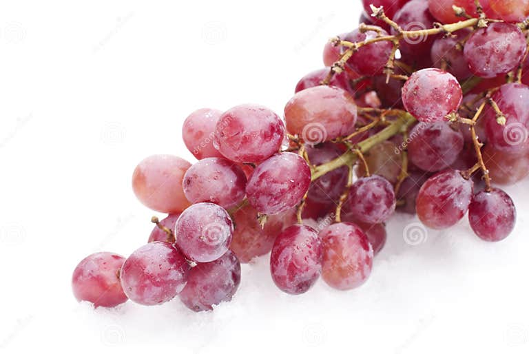 Red Seedless Grapes stock image. Image of freeze, cluster 18266179