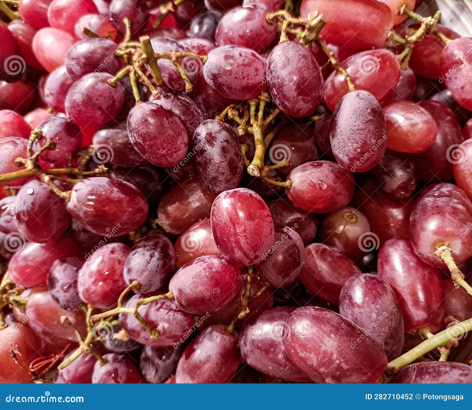 Red Seedless Grapes with Stem Background Stock Photo Image of stem