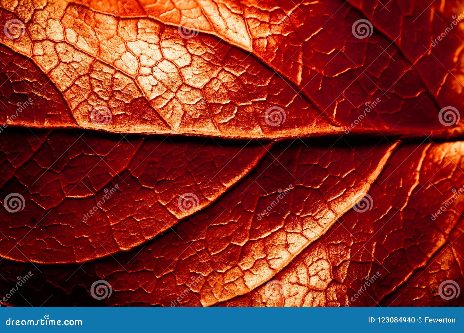 red and sepia toned dry leaf rugged surface structure extreme macro closeup photo with midrib parallel to the frame