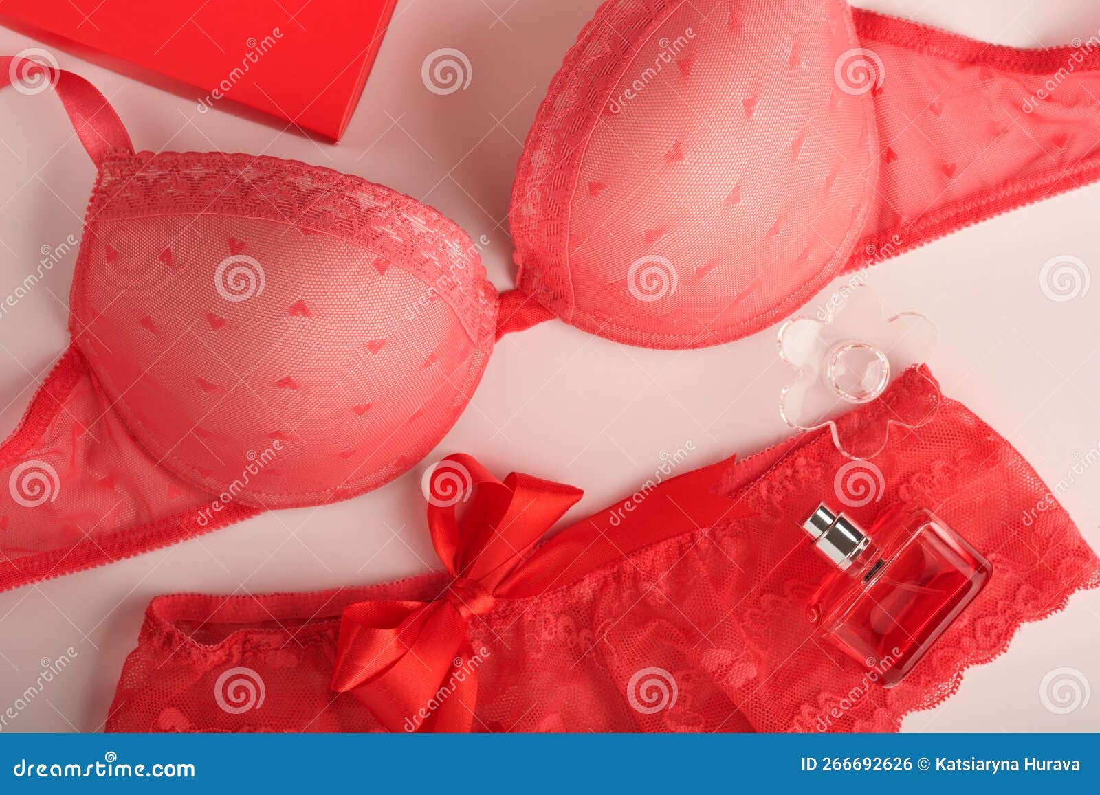 Red Bra and Panties on Pink Background. Women Underwear Set with Roses and  Perfume Stock Photo - Image of passion, card: 266692626