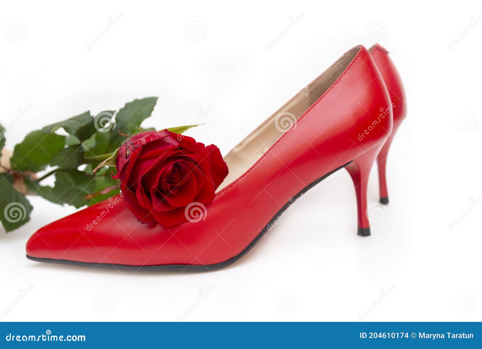Red Shoes Heel. Red Rose and Womens Shoes Isolated on White Background ...