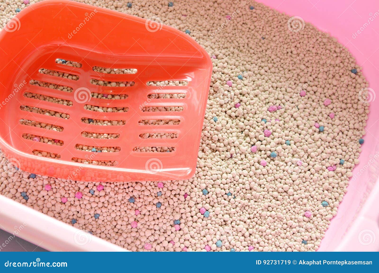Red Shovel on Cat Litter in Pink Box Stock Image Image of purge
