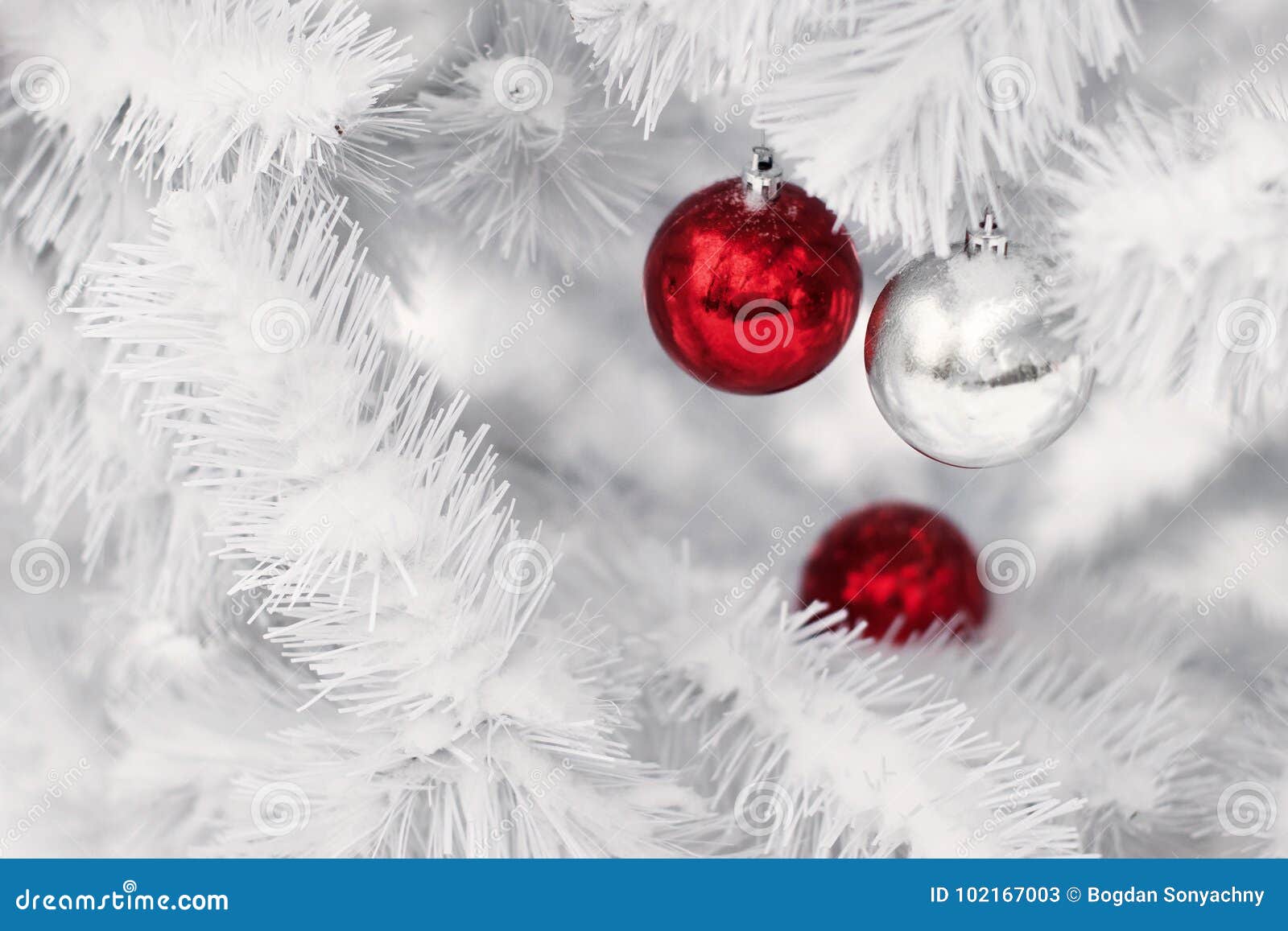 Red and Silver Ornament Balls on White Christmas Tree Branches. Stock